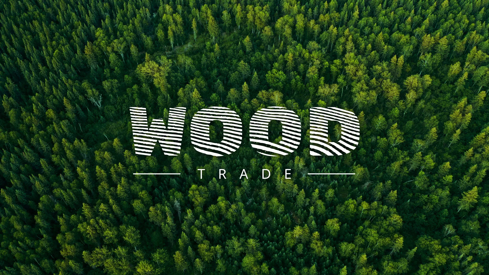 Разработка интернет-магазина компании «Wood Trade» в Кирово-Чепецке
